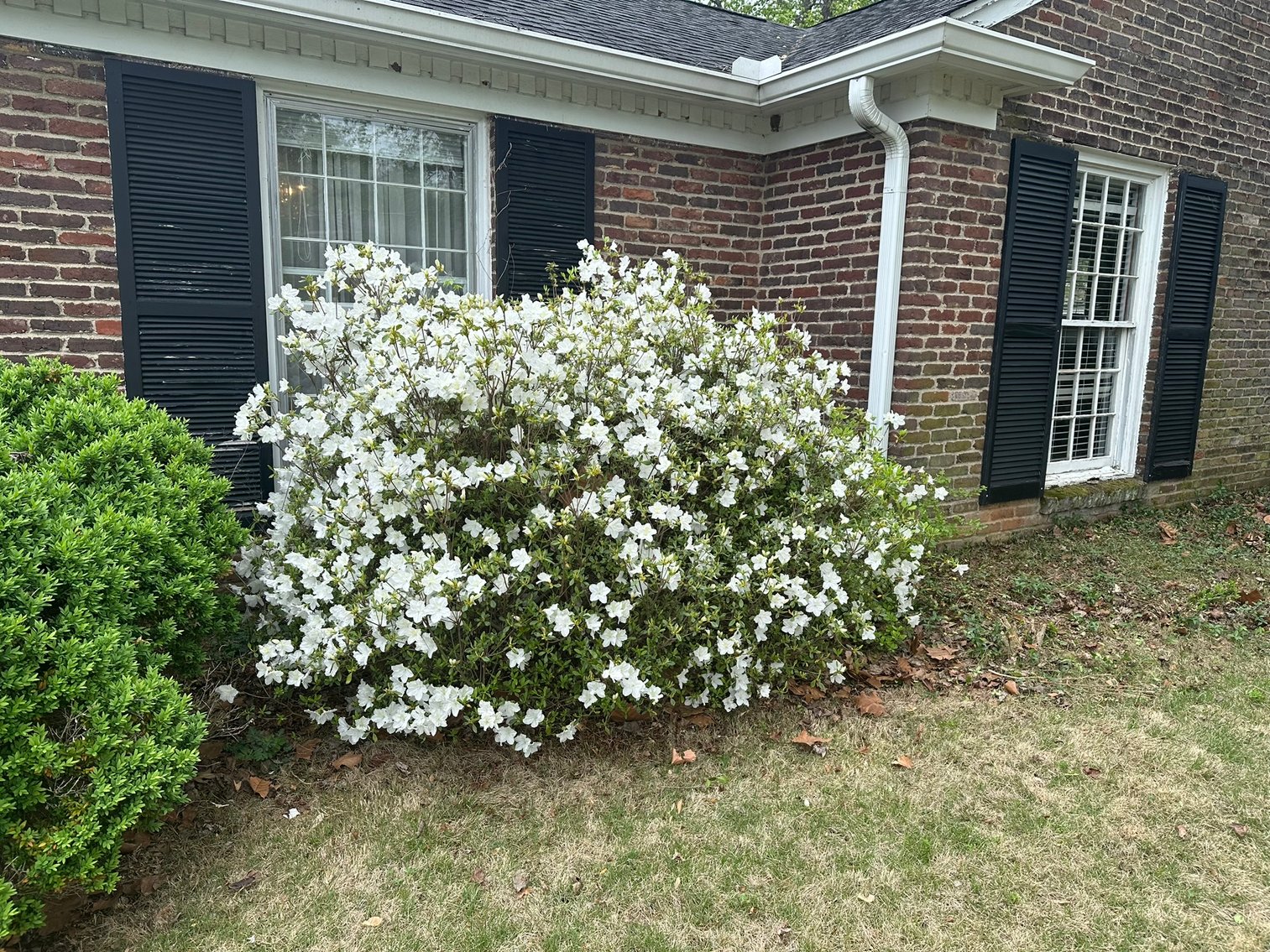 Image for 210 Jupiter Place, Murfreesboro