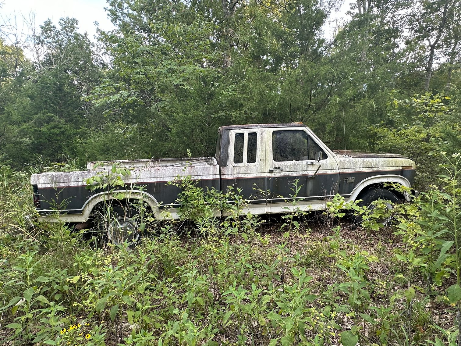 Image for 7292 Old Jackson Ridge Road, Rockvale