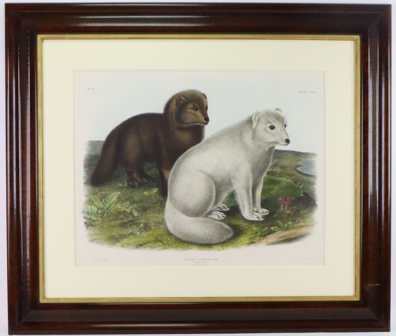 Image for Fine Art Exhibition at Doylestown | November 29, 2023 from 2:00 PM - 7:00 PM