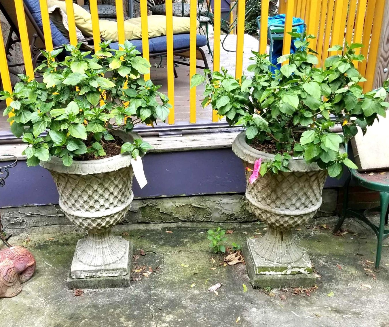 Image for Alderfer Online - Retired Lambertville Antique Dealer's Private Collection Includes Antique Furnishings, Stained Glass, Slag Glass Lamps, Oriental Rugs, Artwork, Samplers, China, Linens, Garden Statuary & More - Philadelphia, PA: Closing 9-13-18