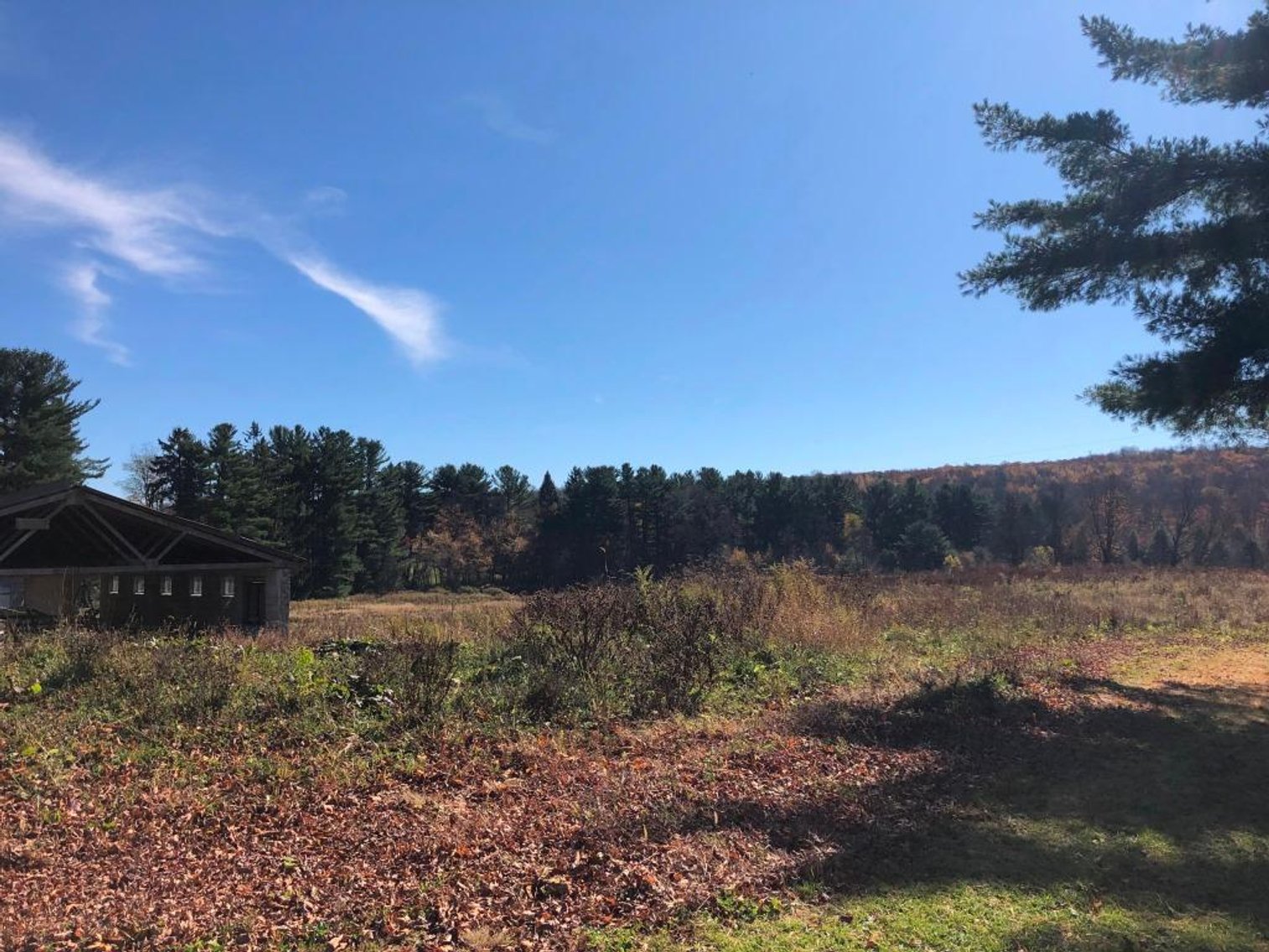 Image for Live and Online Land Auction: Lycoming County, PA