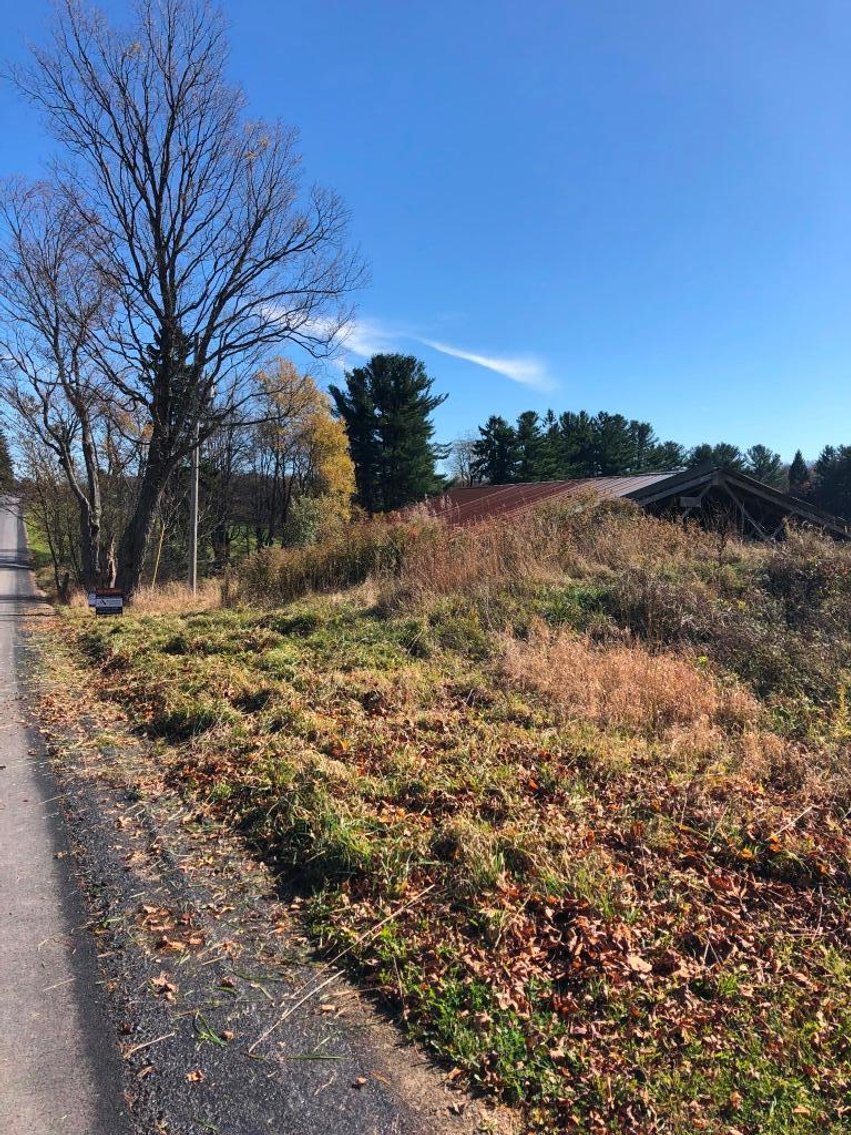 Image for Live and Online Land Auction: Lycoming County, PA