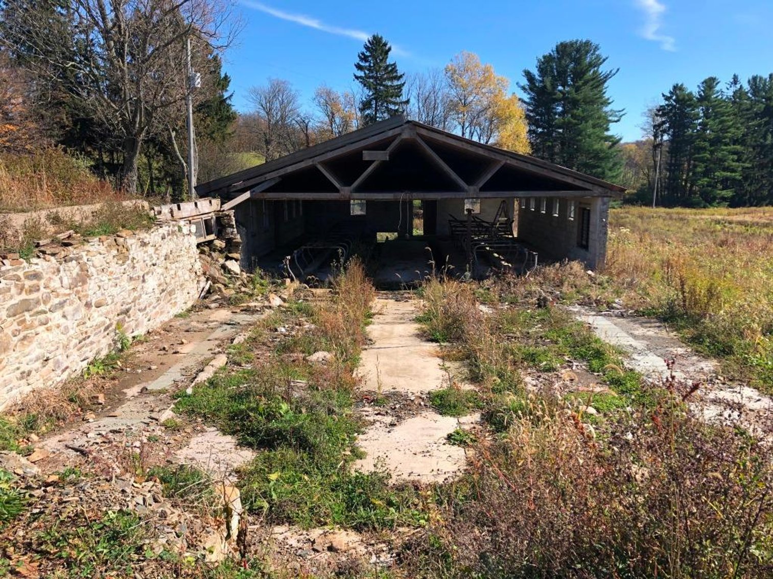 Image for Live and Online Land Auction: Lycoming County, PA