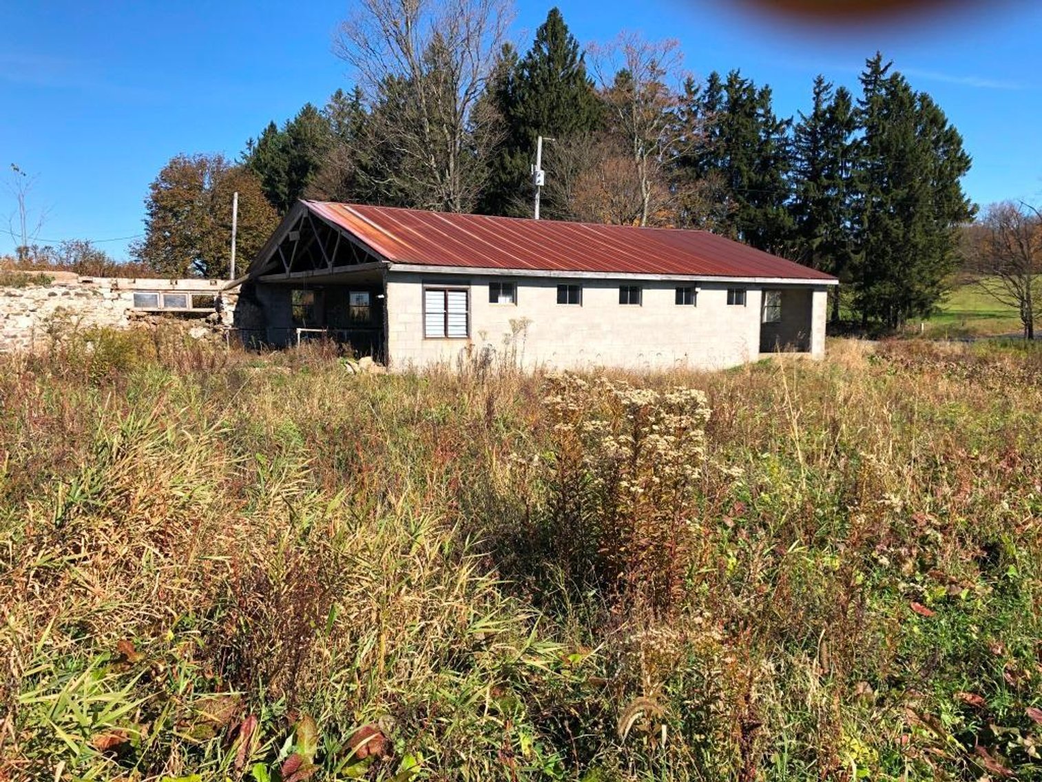 Image for Live and Online Land Auction: Lycoming County, PA