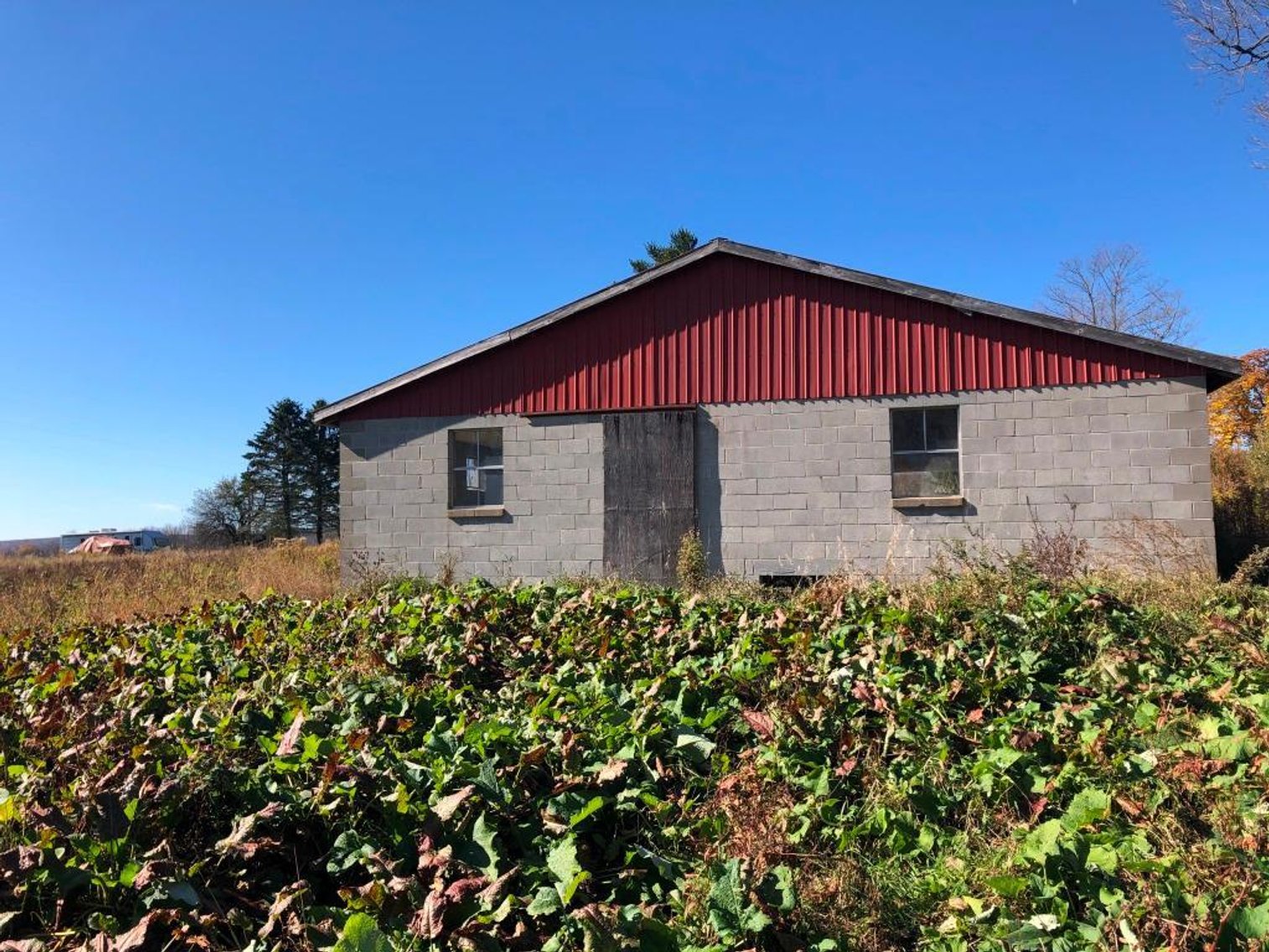 Image for Live and Online Land Auction: Lycoming County, PA