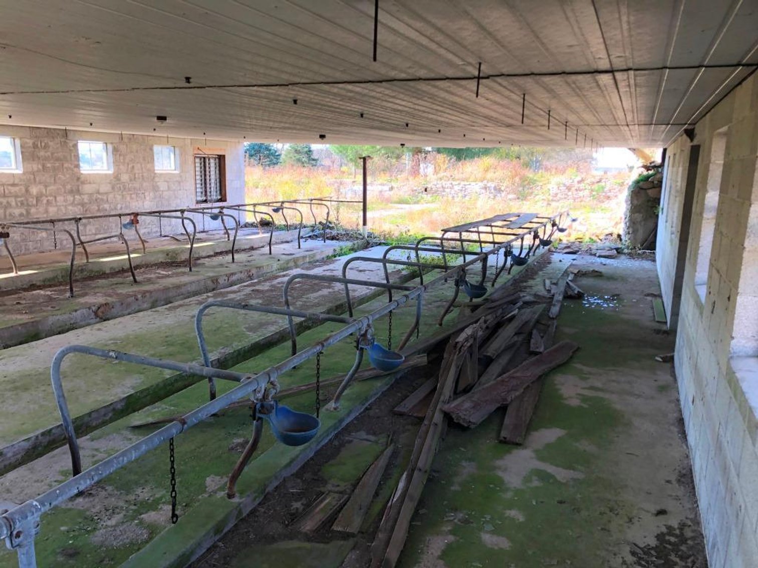 Image for Live and Online Land Auction: Lycoming County, PA