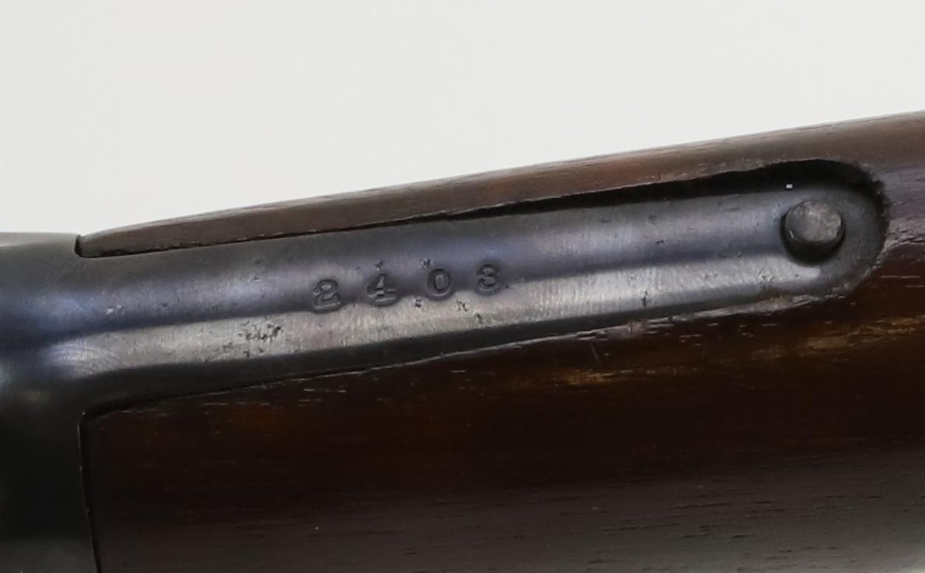 Image for Standard Arms Model M pump action rifle.