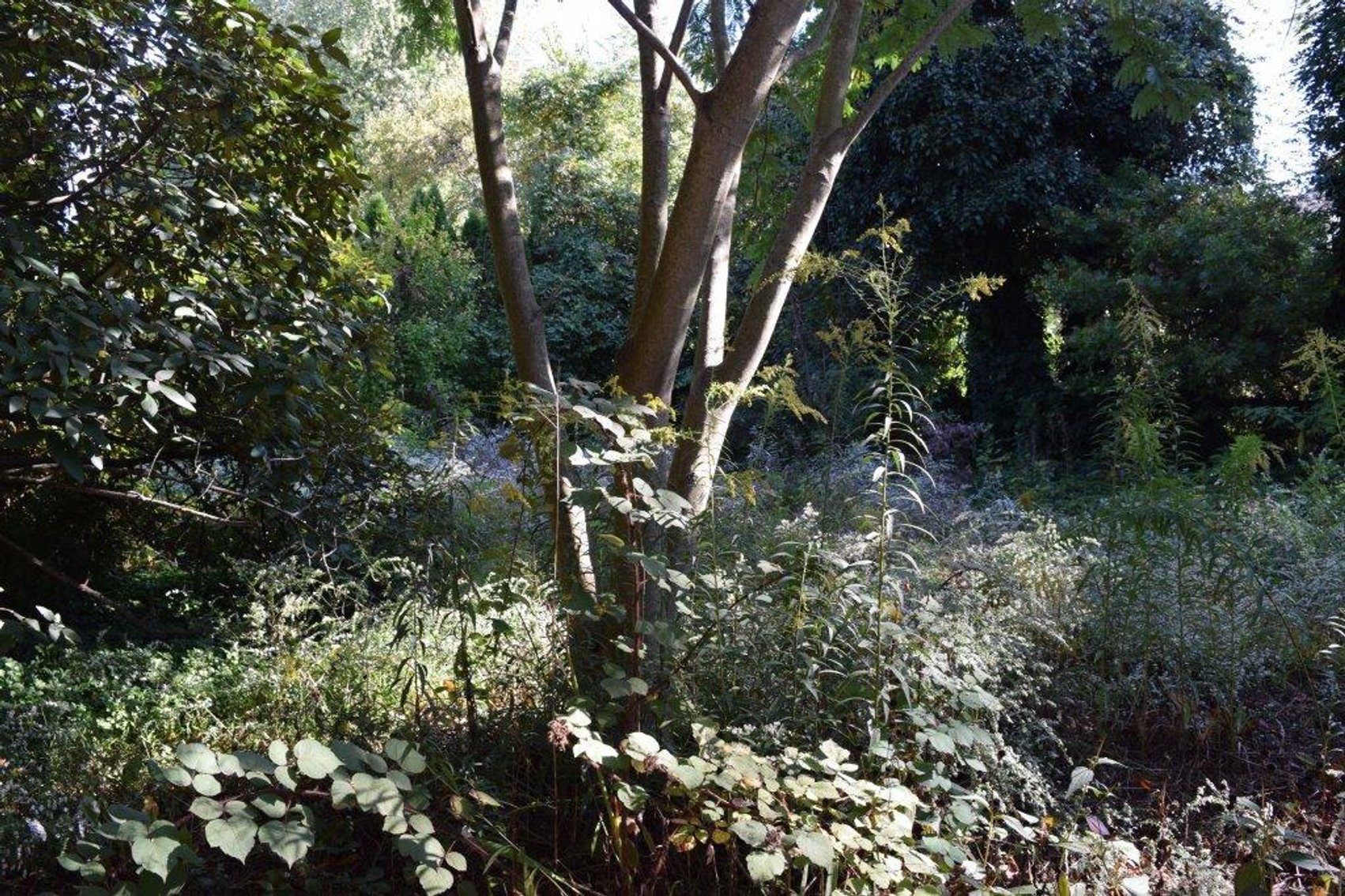 Image for Real Estate | 859 Ivyland Rd Warminster, PA 18974 | October 24, 2020 at 11:00 AM