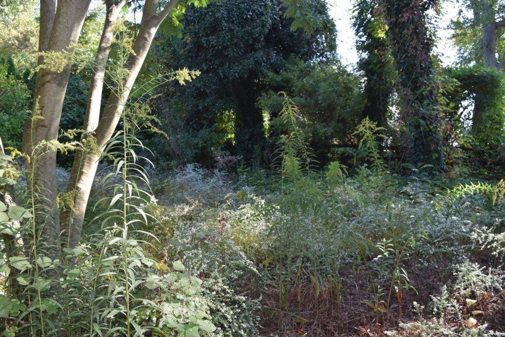 Image for Real Estate | 859 Ivyland Rd Warminster, PA 18974 | October 24, 2020 at 11:00 AM