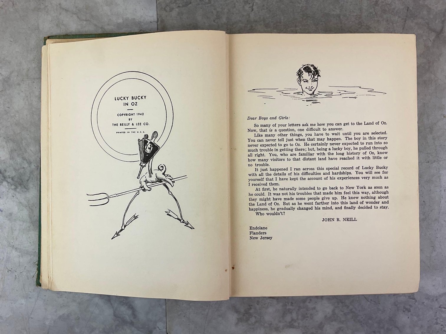 Image for WIZARD OF OZ