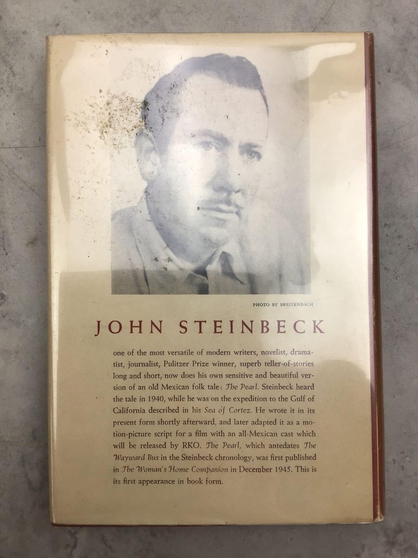 Image for JOHN STEINBECK