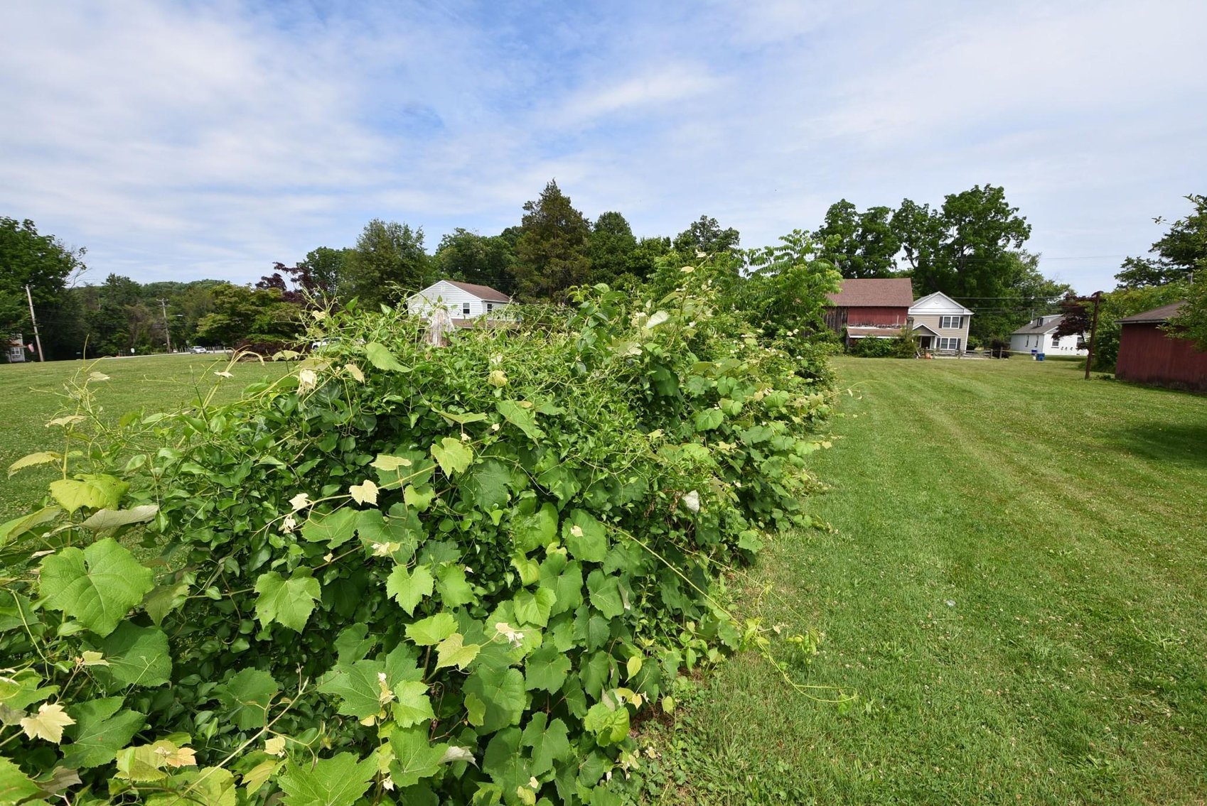 Image for Real Estate | 40 Van Leer, Media, PA 19063 | July 19, 2022 at 4:00 PM