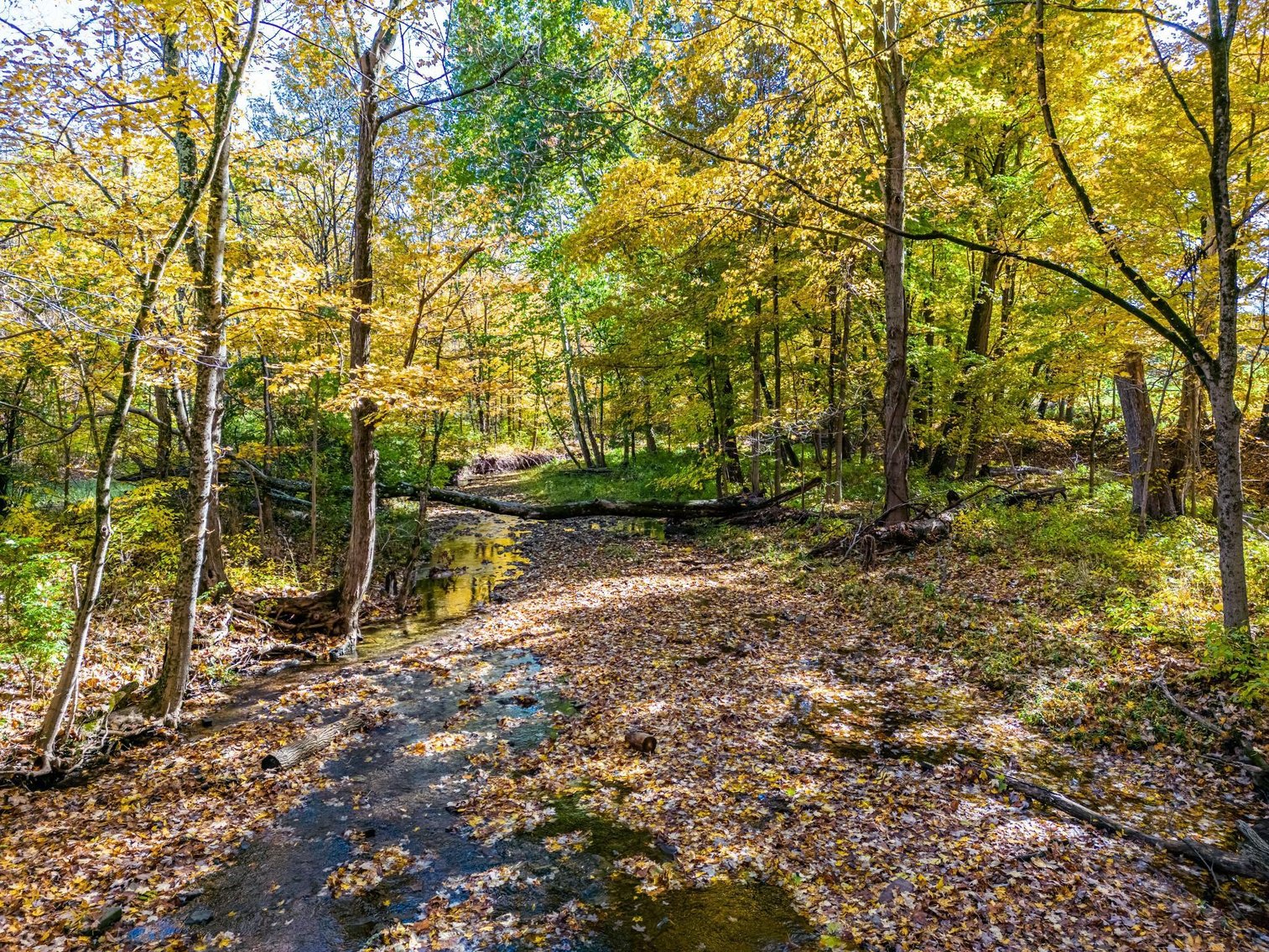 Image for Sold! Real Estate | 651 New Galena Rd., Chalfont, PA 18914 | January 19, 2023 at 4:00 PM