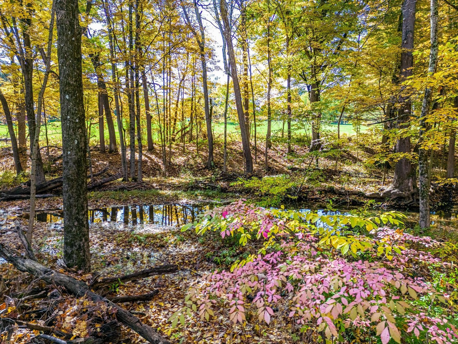 Image for Sold! Real Estate | 651 New Galena Rd., Chalfont, PA 18914 | January 19, 2023 at 4:00 PM