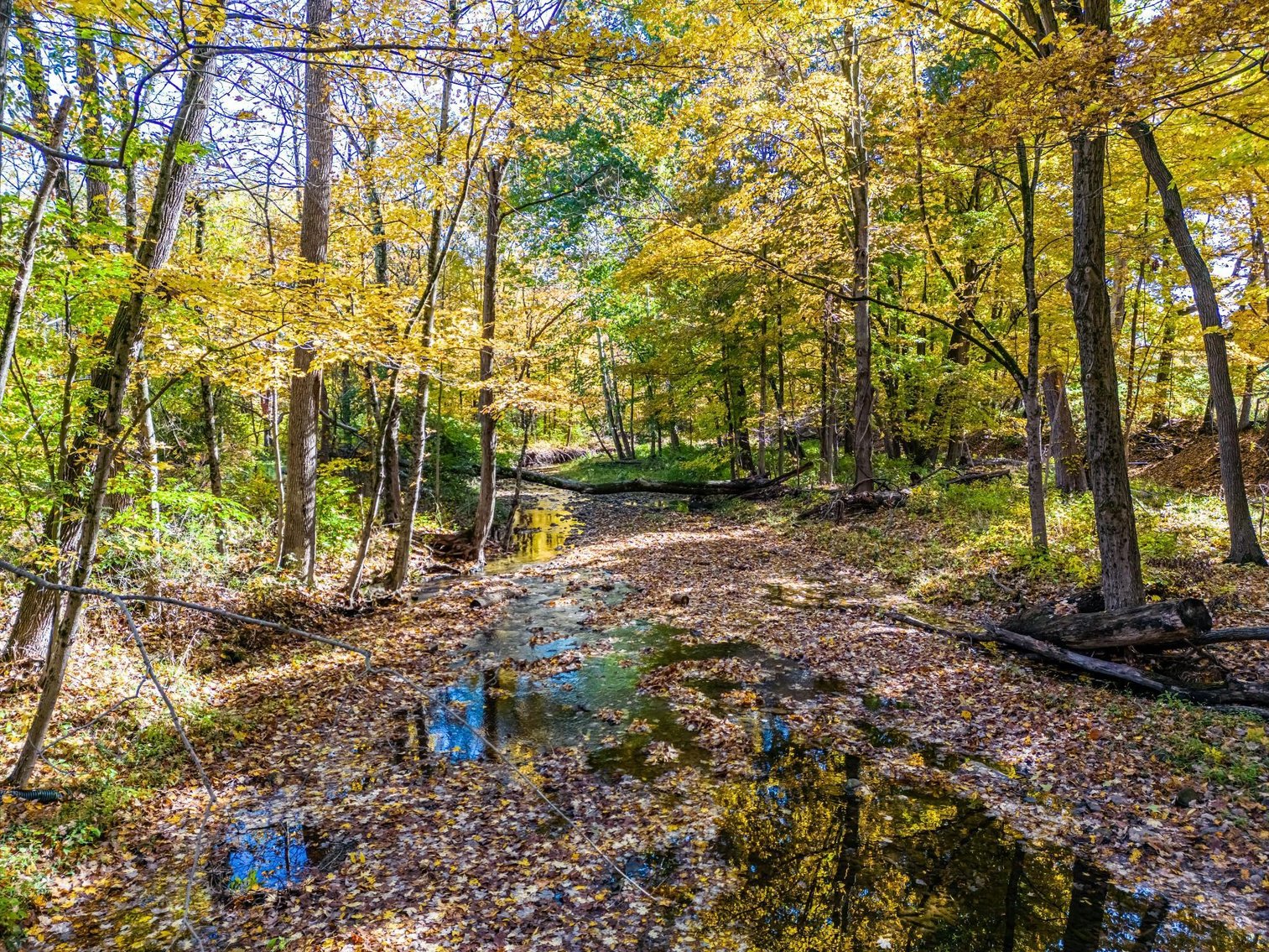 Image for Sold! Real Estate | 651 New Galena Rd., Chalfont, PA 18914 | January 19, 2023 at 4:00 PM