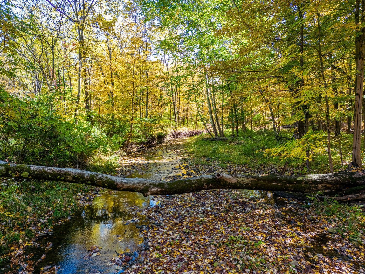 Image for Sold! Real Estate | 651 New Galena Rd., Chalfont, PA 18914 | January 19, 2023 at 4:00 PM