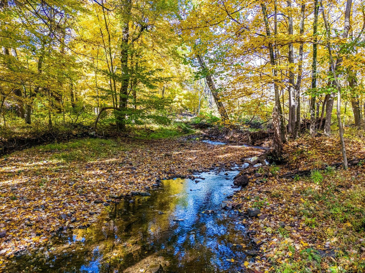 Image for Sold! Real Estate | 651 New Galena Rd., Chalfont, PA 18914 | January 19, 2023 at 4:00 PM