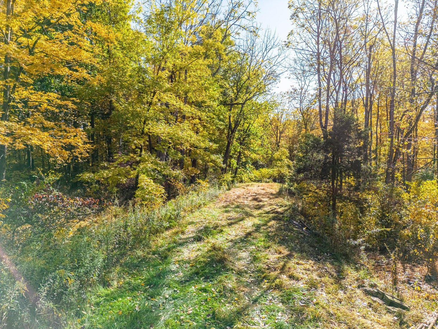 Image for Sold! Real Estate | 651 New Galena Rd., Chalfont, PA 18914 | January 19, 2023 at 4:00 PM