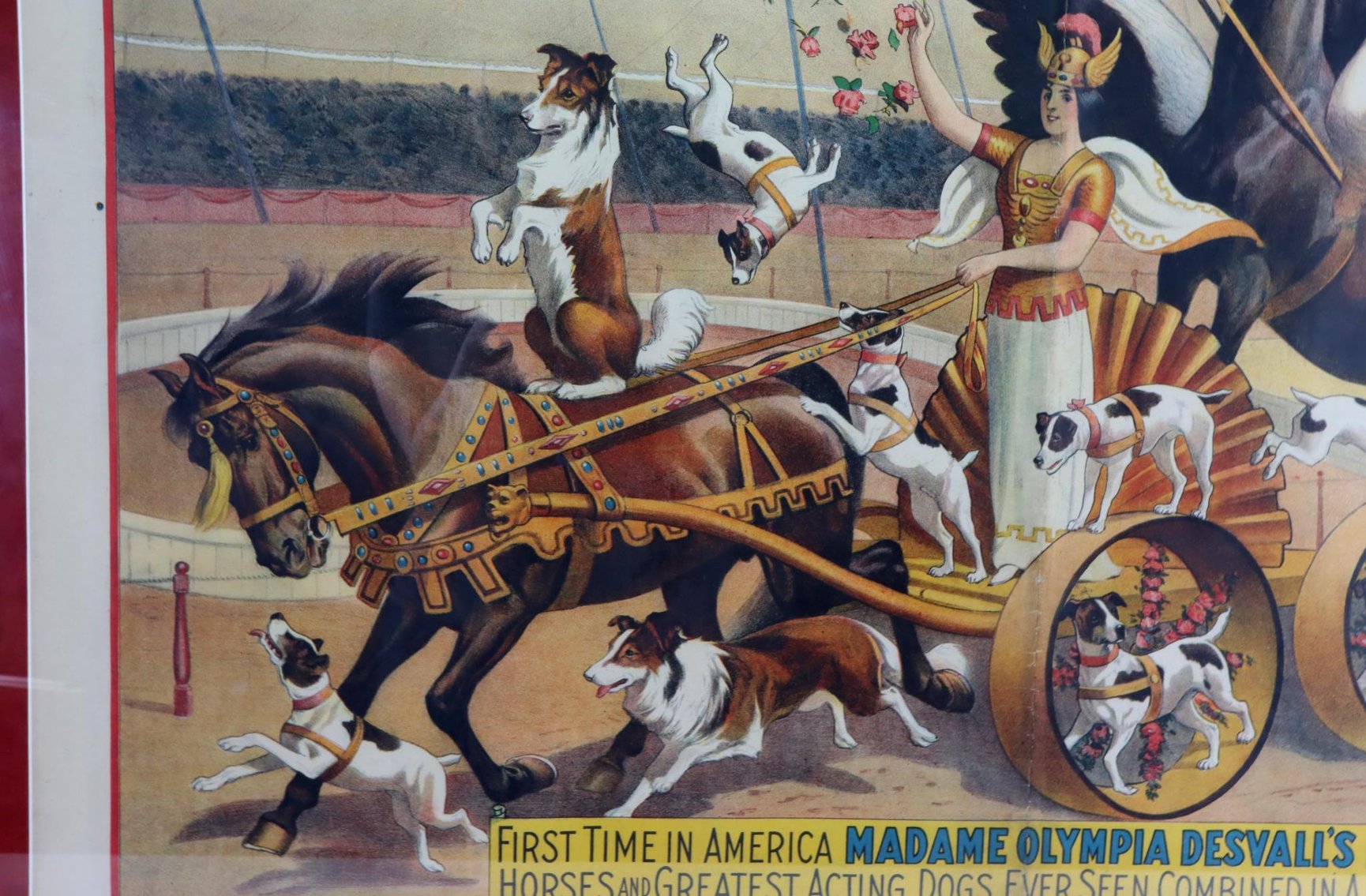 Image for Barnum & Bailey - Madame Olympia Desvall Circus Poster