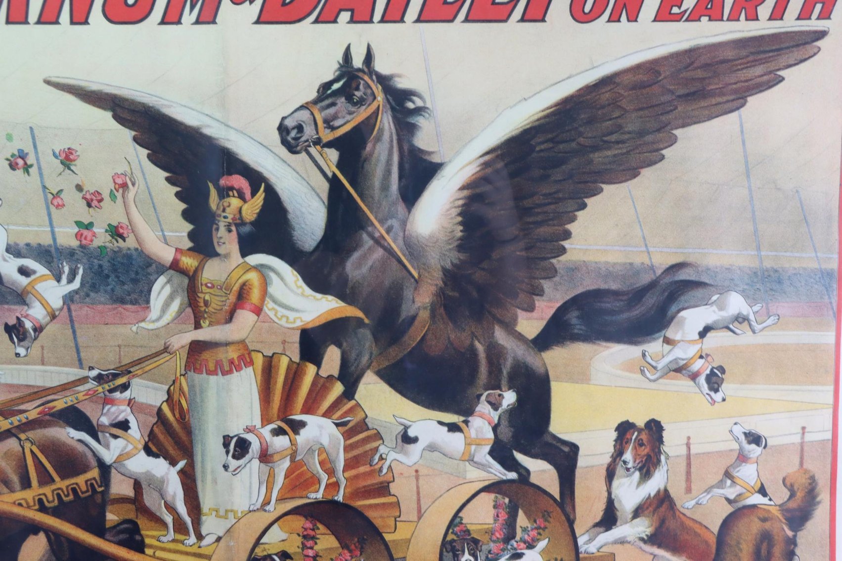 Image for Barnum & Bailey - Madame Olympia Desvall Circus Poster