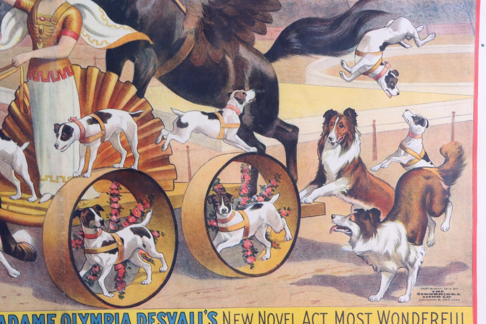 Image for Barnum & Bailey - Madame Olympia Desvall Circus Poster