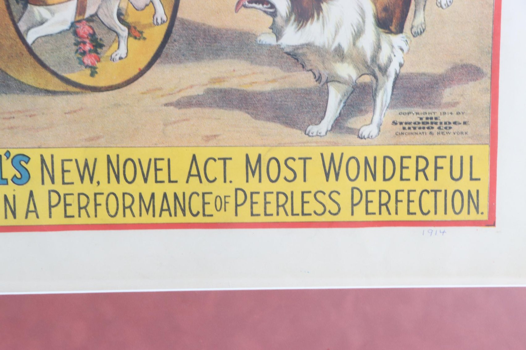 Image for Barnum & Bailey - Madame Olympia Desvall Circus Poster