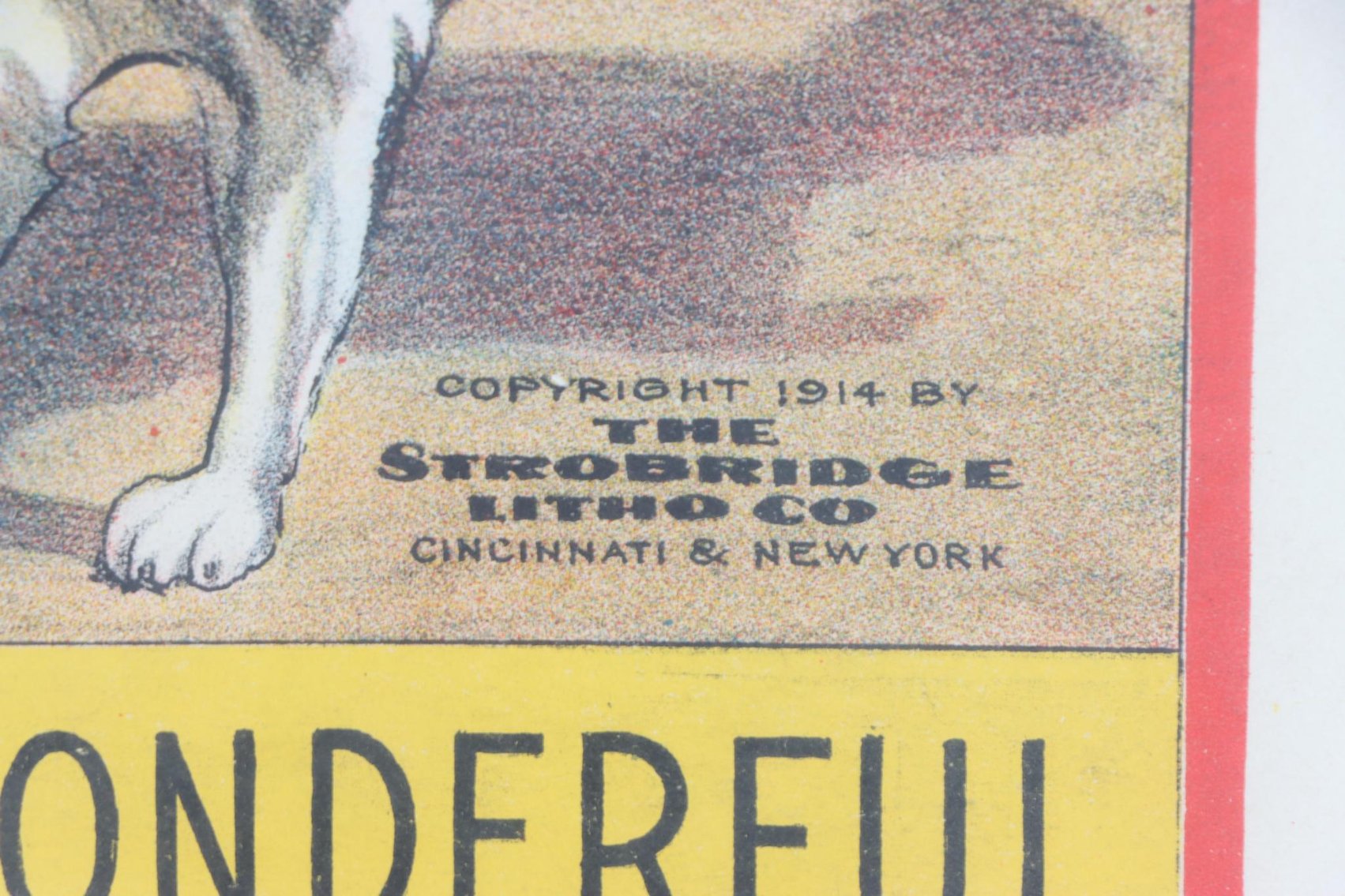 Image for Barnum & Bailey - Madame Olympia Desvall Circus Poster