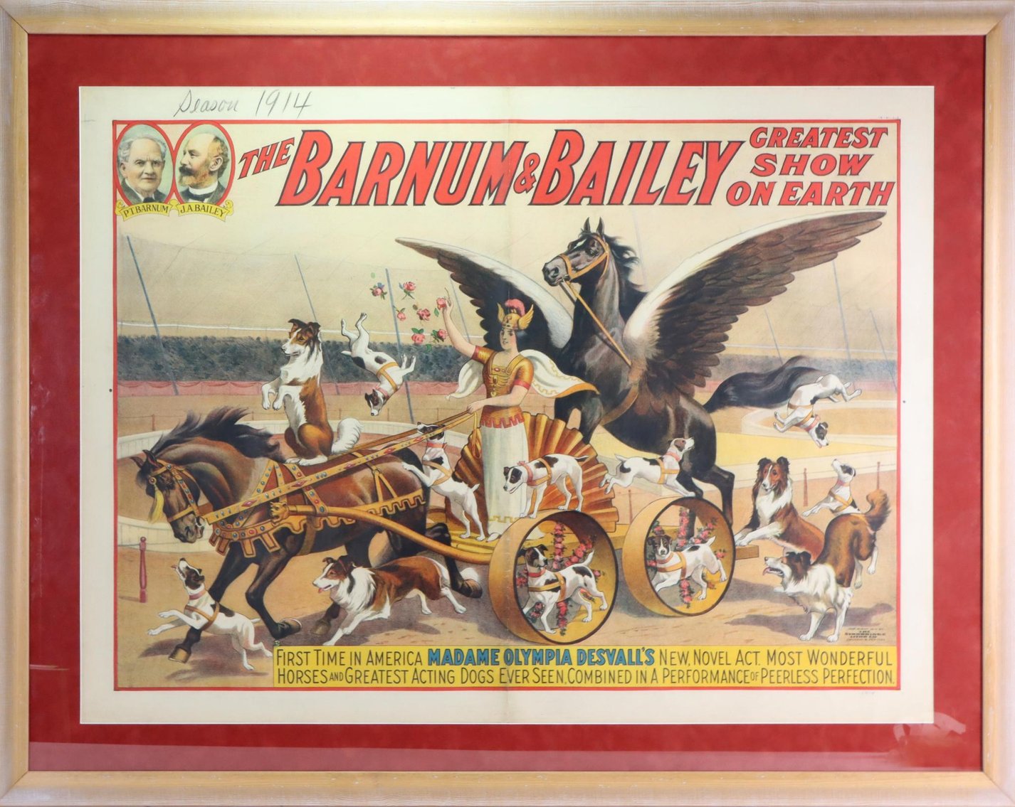 Image for Barnum & Bailey - Madame Olympia Desvall Circus Poster