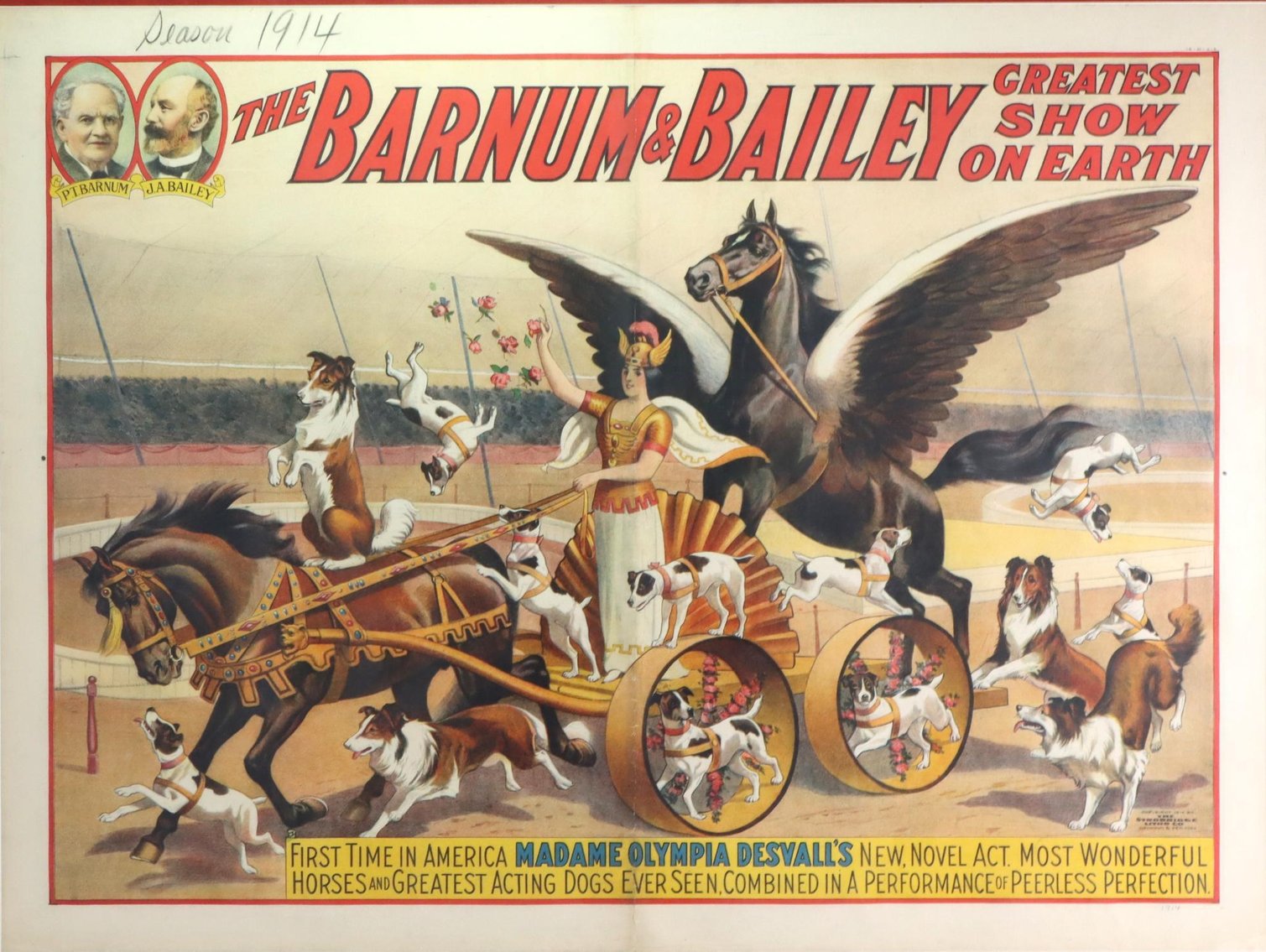 Image for Barnum & Bailey - Madame Olympia Desvall Circus Poster