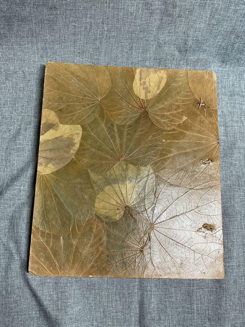 Image for Digital Frames