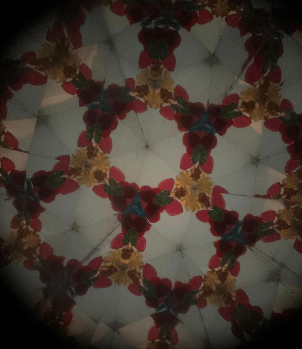 Image for Peanuts Schroeder Piano & Collectibles