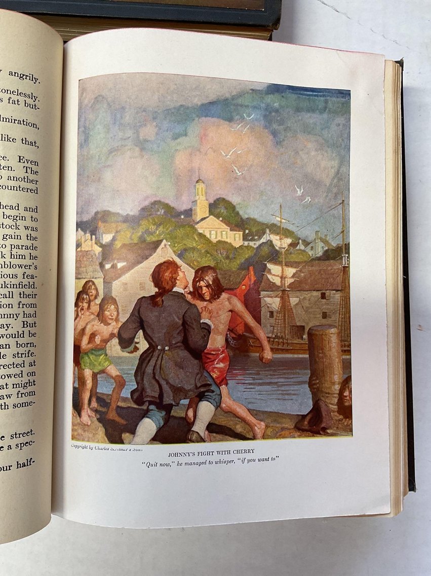 Image for N.C. Wyeth Books