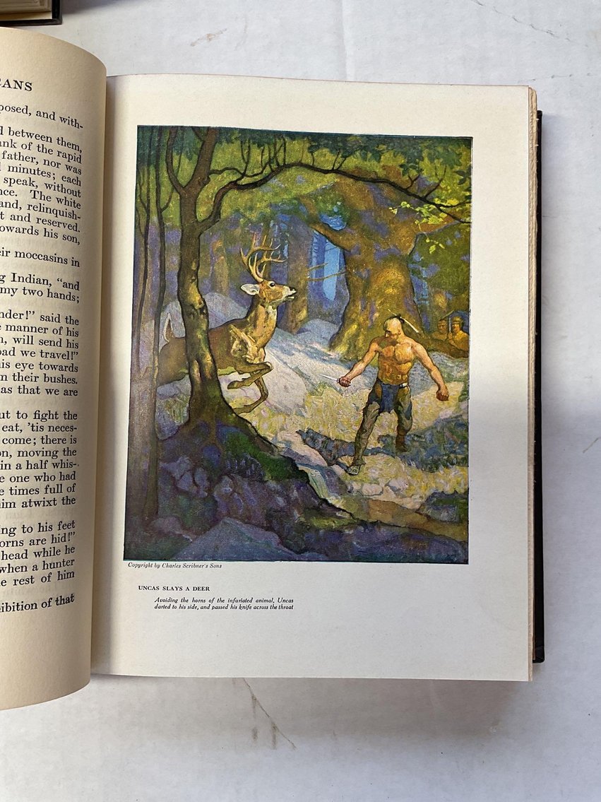 Image for N.C. Wyeth Books