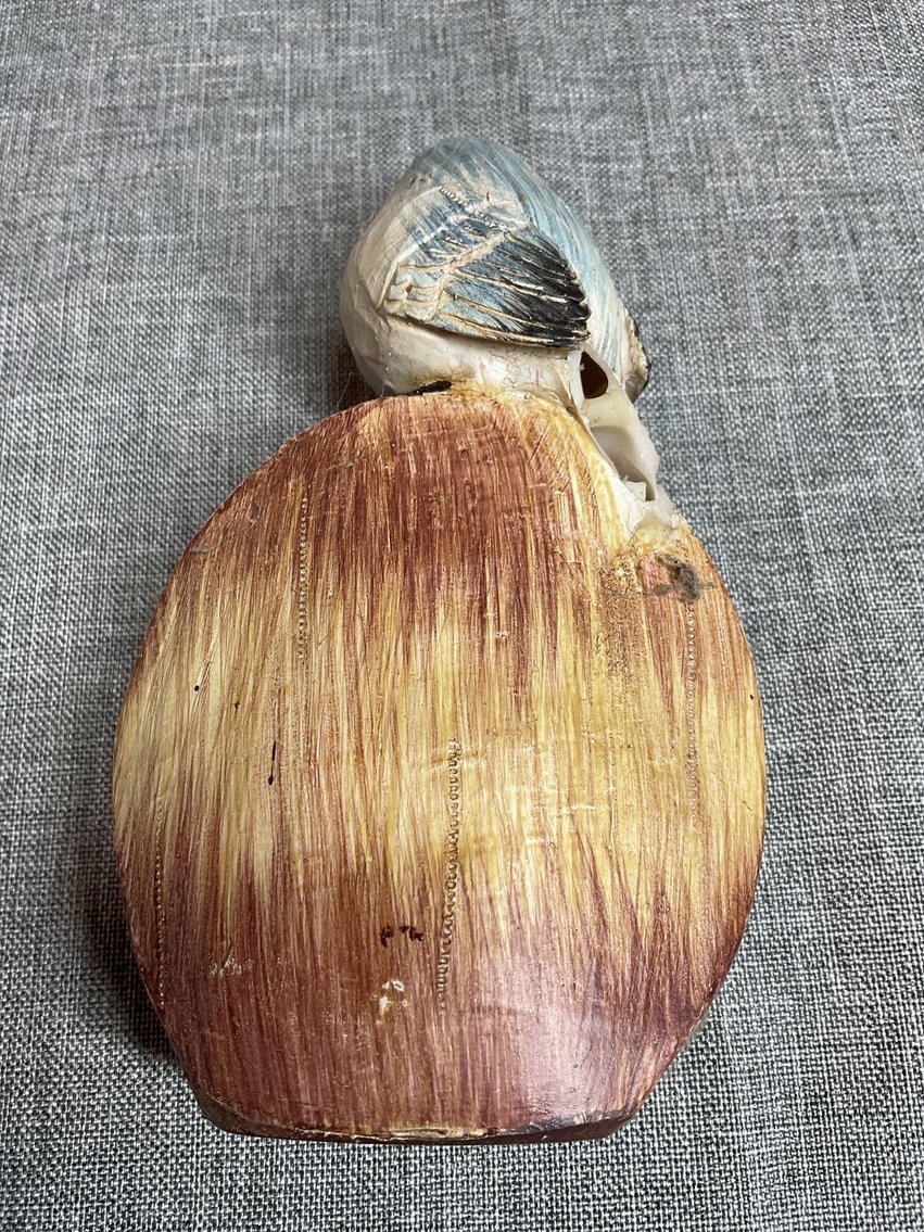 Image for Bird Decoratives