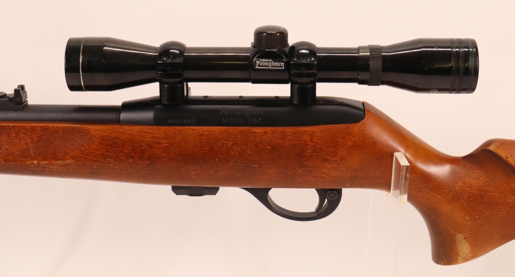 Image for Remington Model 597 Semi Automatic Rifle