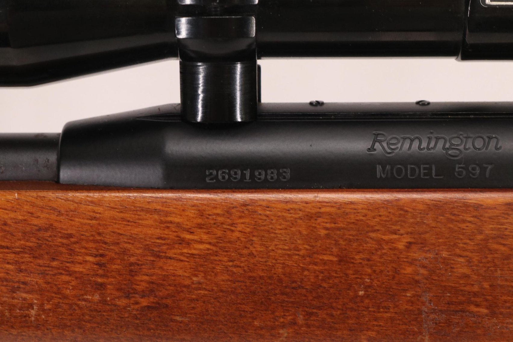Image for Remington Model 597 Semi Automatic Rifle