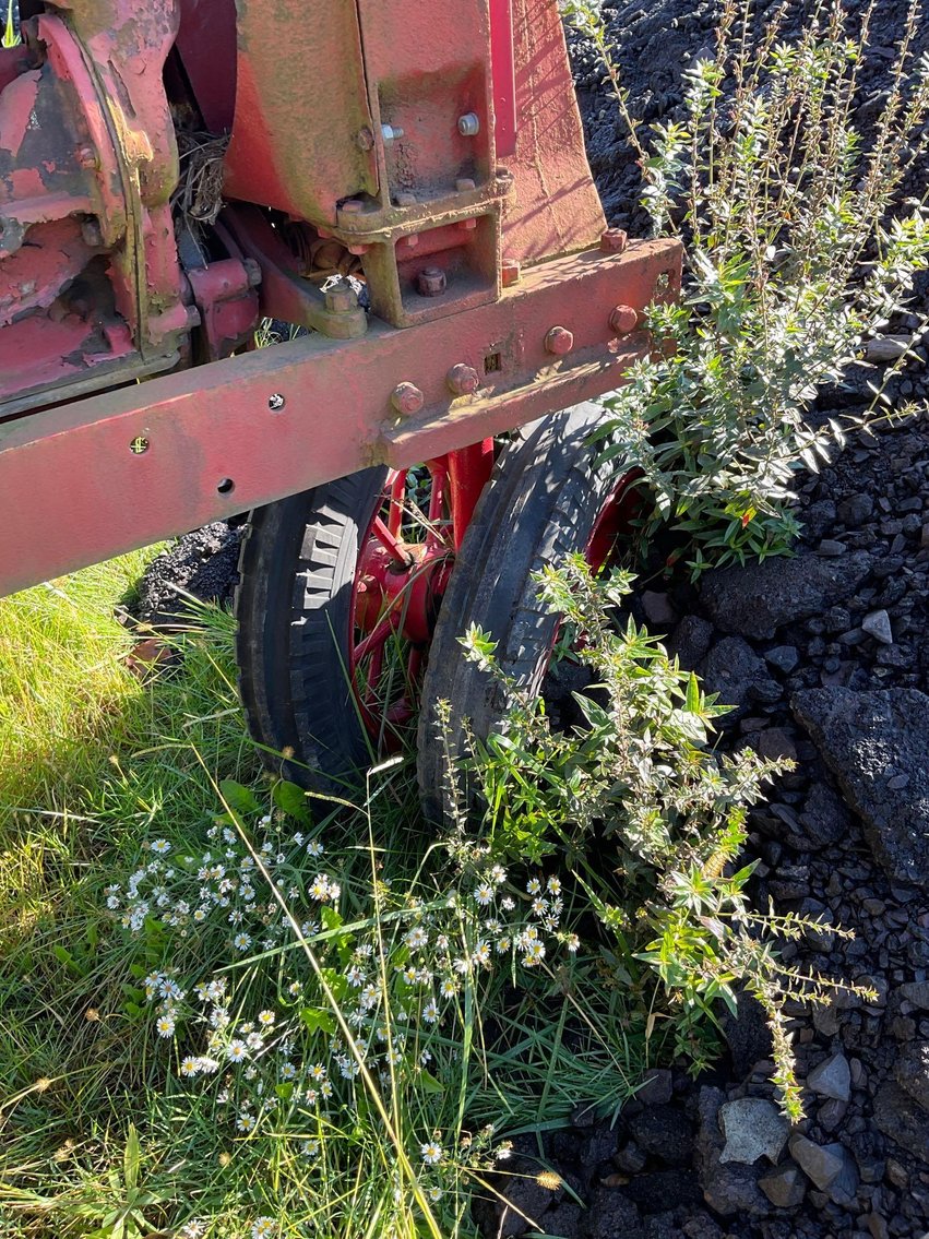 Image for Antique Farmall Tractor