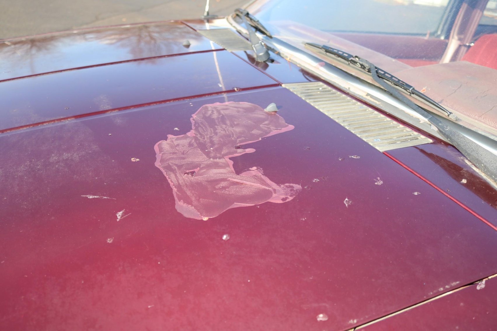 Image for 1989 Nissan Pickup Truck