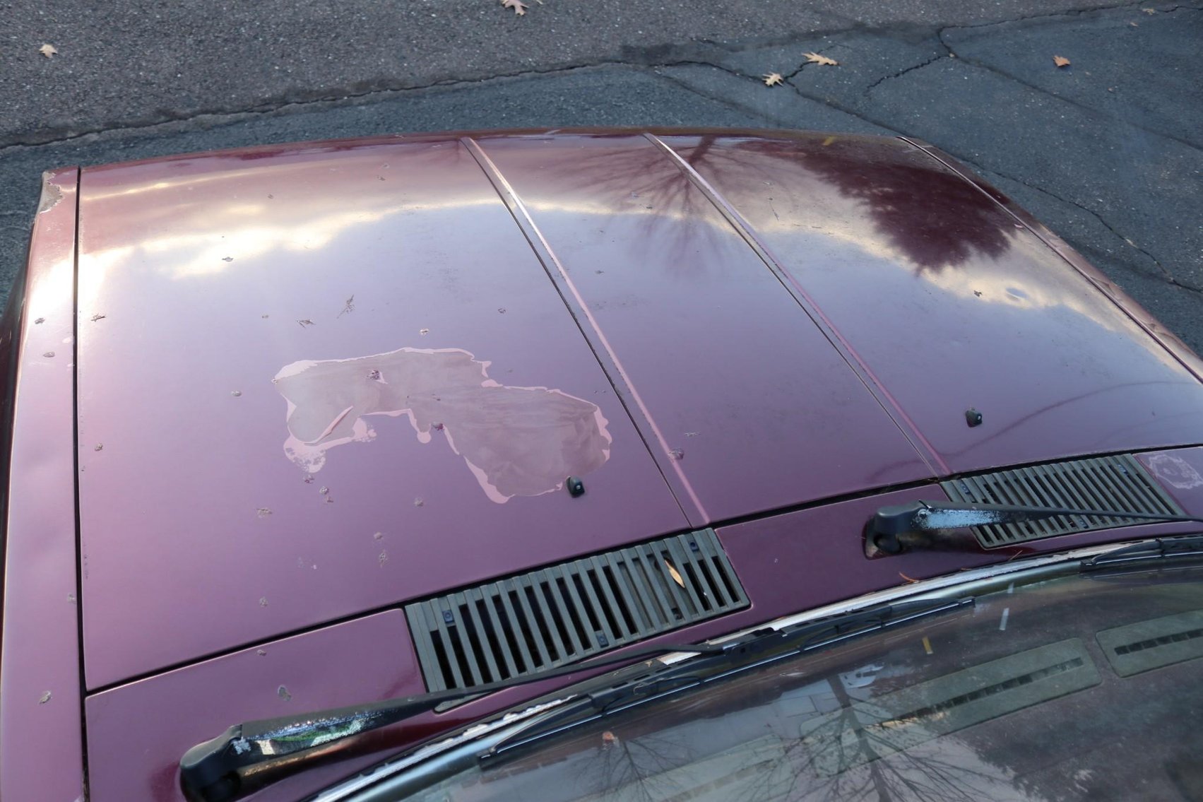 Image for 1989 Nissan Pickup Truck