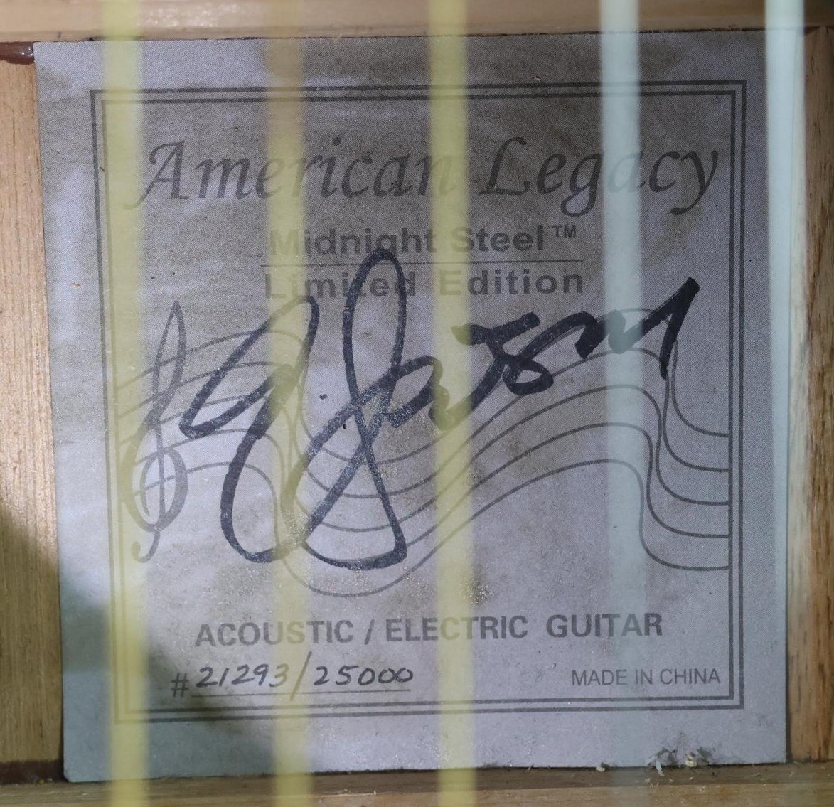 Image for Esteban and Randy Jackson Acoustic Electric Guitar