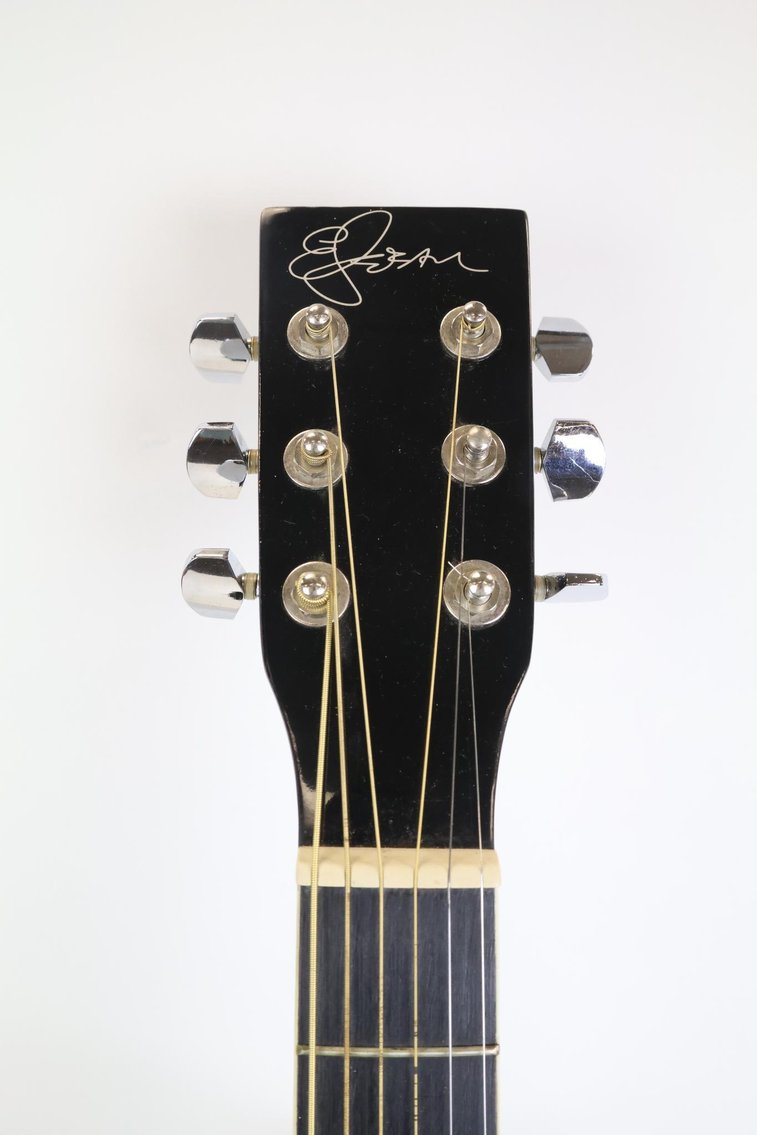 Image for Esteban and Randy Jackson Acoustic Electric Guitar