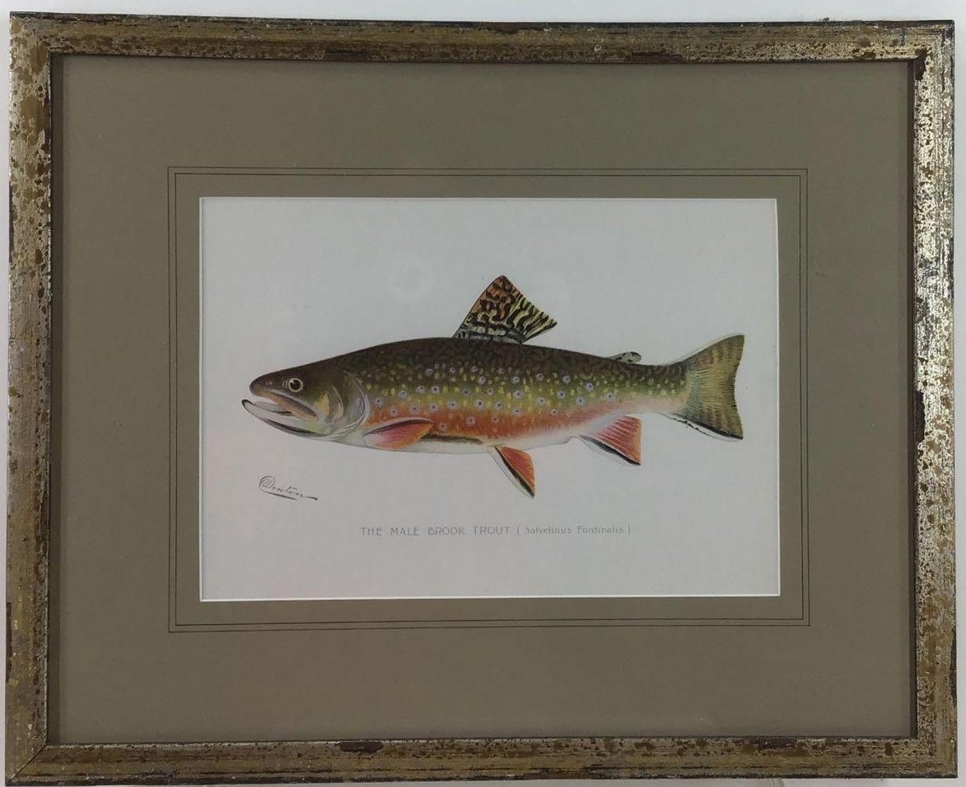 Image for Sherman Foote Denton (1856 - 1907)