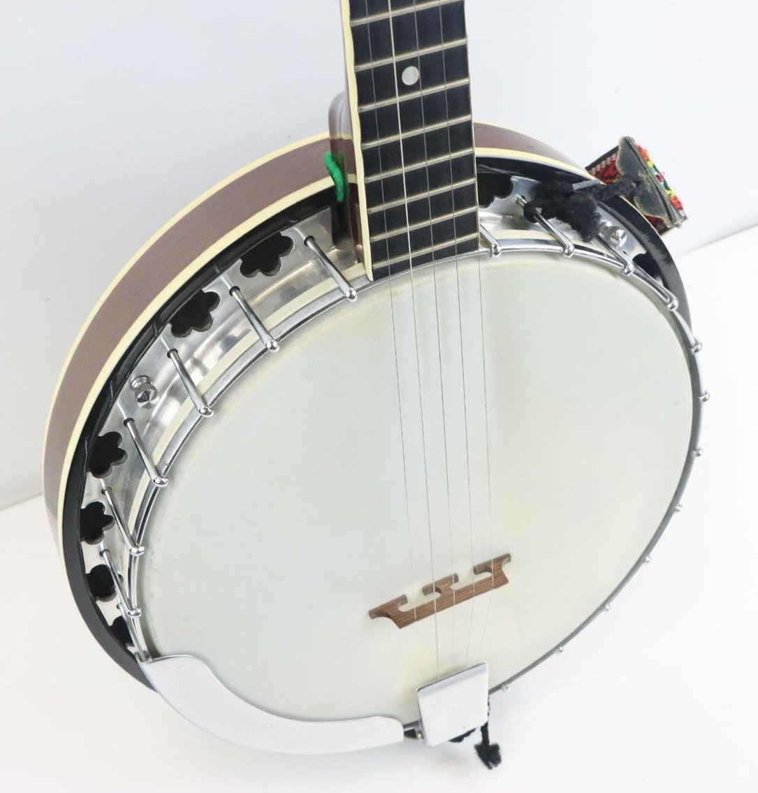 Image for Ariana 5-string Banjo