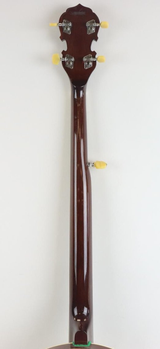 Image for Ariana 5-string Banjo