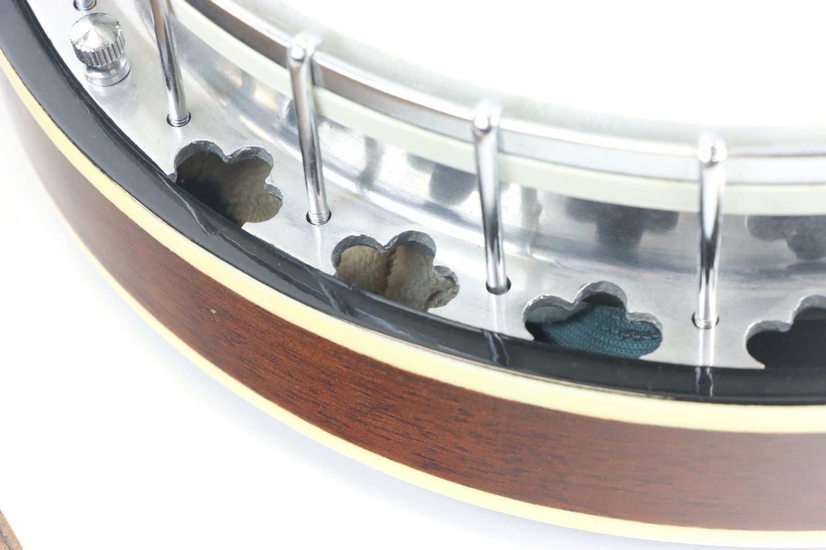 Image for Ariana 5-string Banjo