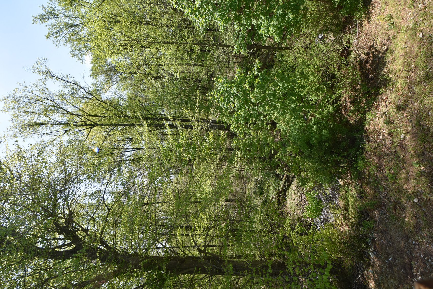 Image for Sold! Real Estate For Sale | 40 Heritage Lane, Doylestown, PA 18901