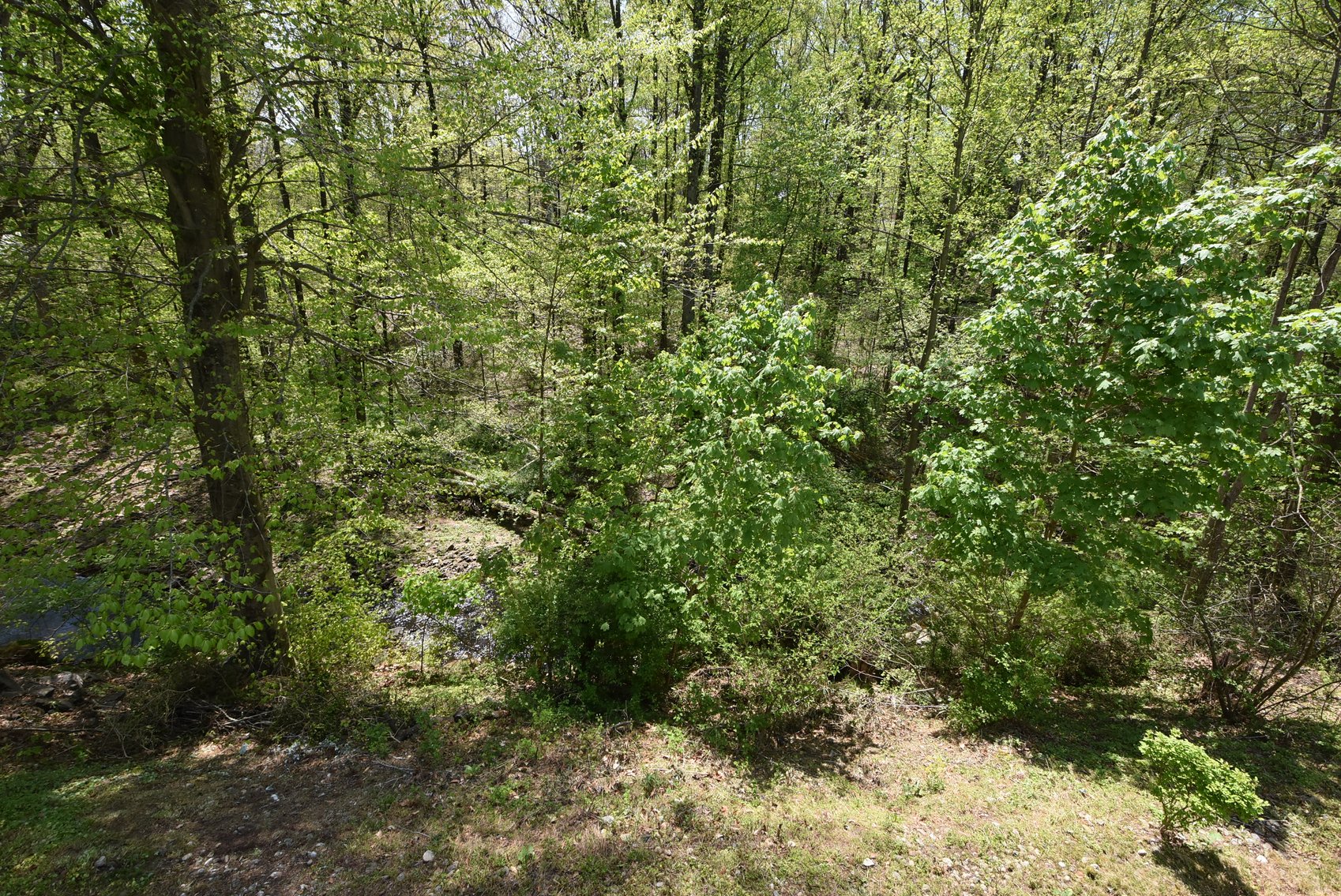 Image for Sold! Real Estate For Sale | 40 Heritage Lane, Doylestown, PA 18901