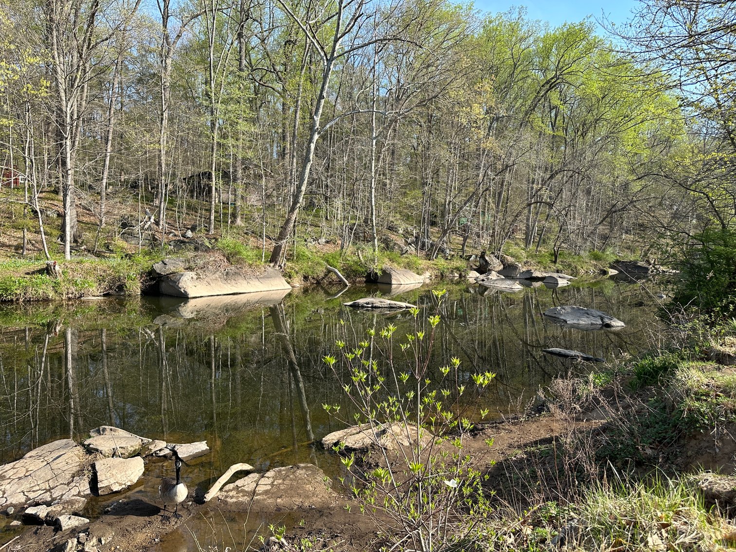 Image for Sold! Vacant Lot For Auction | 2751 Swamp Creek Road, Pennsburg, PA 18073 | July 8, 2025 at 4:00 PM