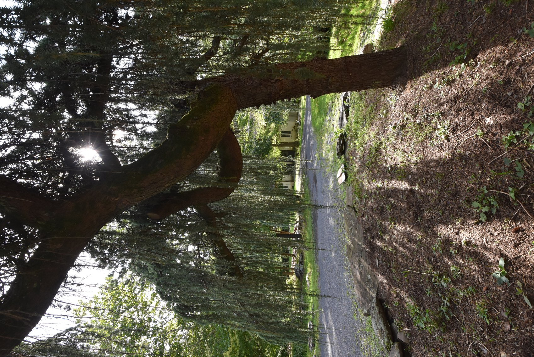 Image for Sold! Real Estate For Auction | 1286 Bridgeton Hill Rd, Upper Black Eddy, PA 18972 | September 24, 2025 at 4:00 PM