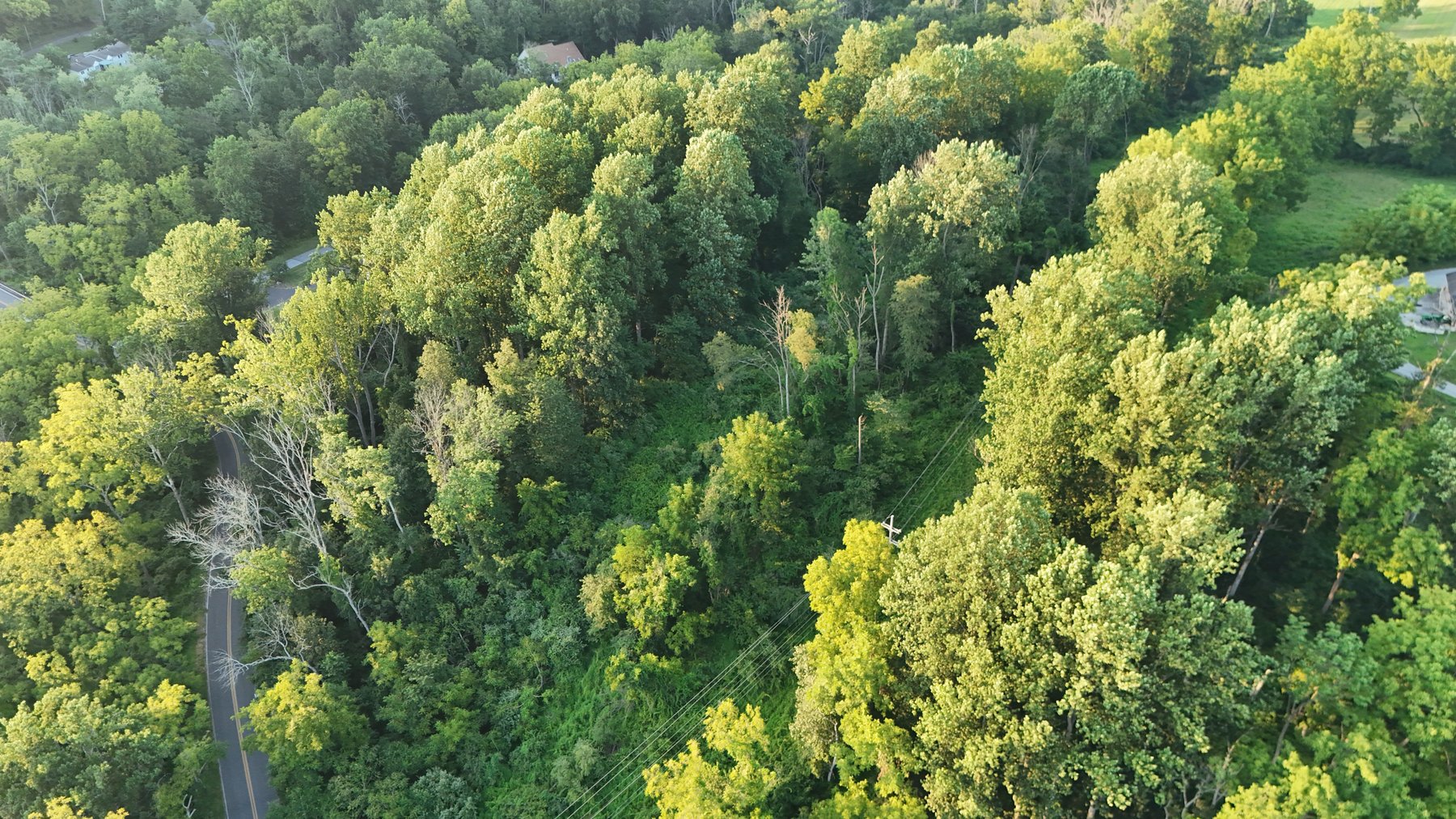 Image for Sold! Land For Auction | 554 Merlin Road, Phoenixville, PA 19460 |  September 23, 2025 at 4:00 PM